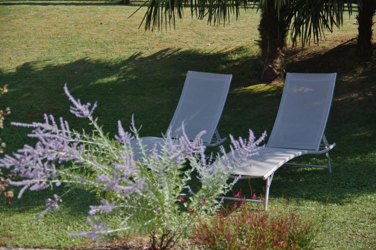 La Lilas Des Fargues Maison D'Hotes Albi Ngoại thất bức ảnh